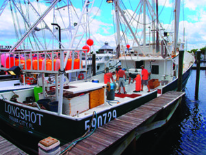 Commercial fisherman