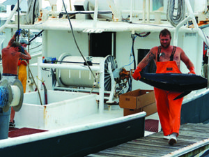 Commercial fisherman