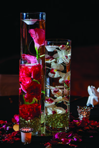 michellecastlephotography-36 (1)