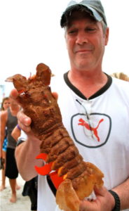 White Shirt w Lobster