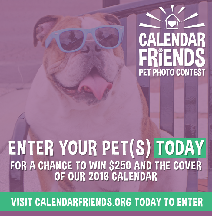 calendarfriends_2016_promo_d2