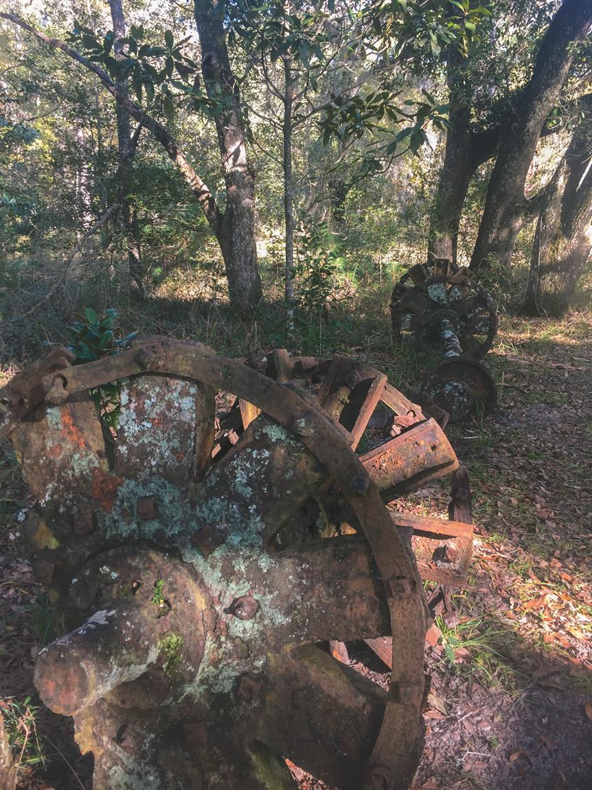 VSCO Cam-24-1 (Copy)