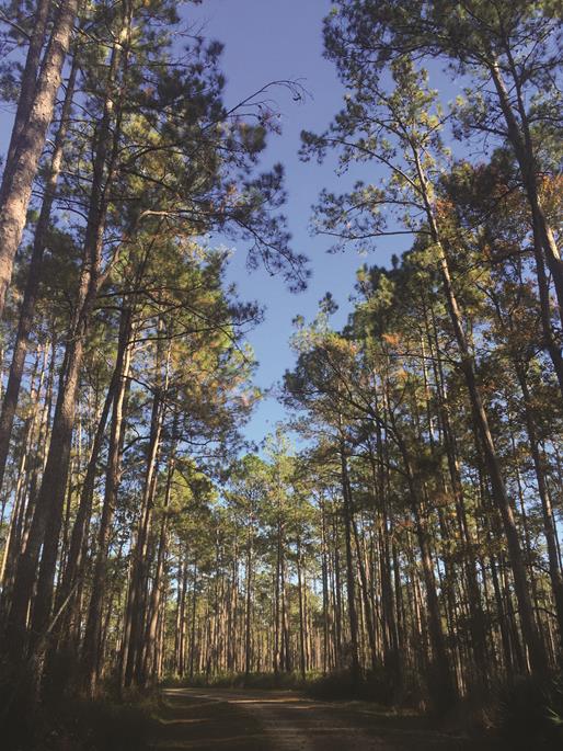 VSCO Cam-40-1 (Copy)